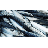 Nước mắm Lê Gia truyền thống cá nục 25(+-1)gN/l chai 525ml