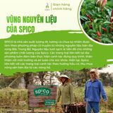 Tương ớt ngọt SPICO truyền thống vị Sriracha 290g