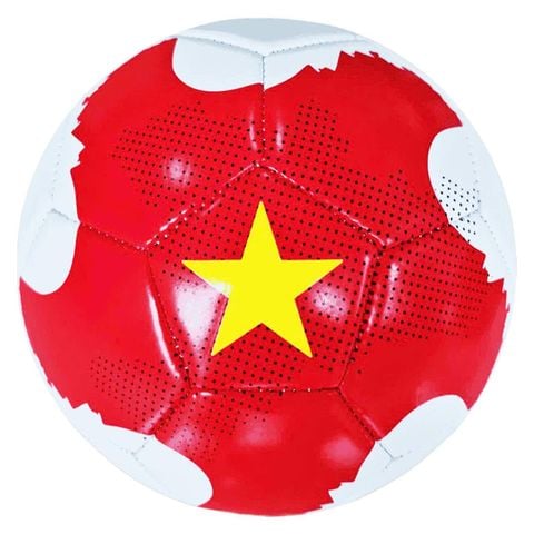  Bóng đá AF2400 số 5 