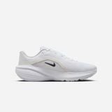  Giày Chạy Bộ Nam Nike Downshifter 14 IB1895-101 
