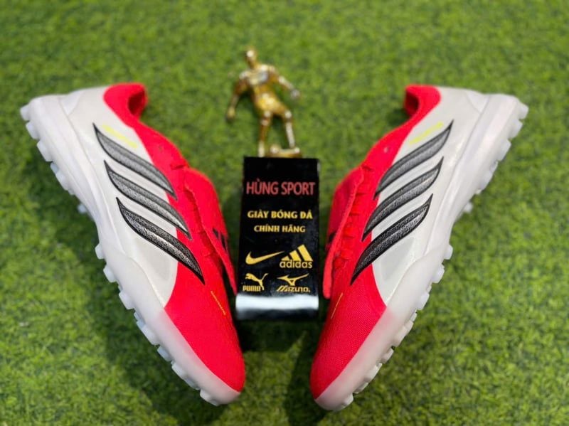 PREDATOR PRO FT TF