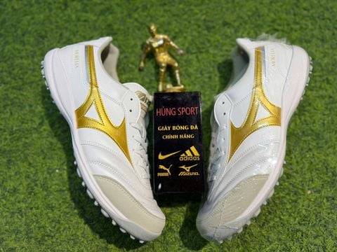 MORELIA SALA ELITE TF