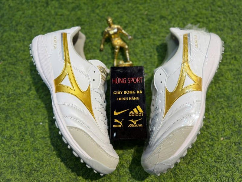 MORELIA SALA ELITE TF