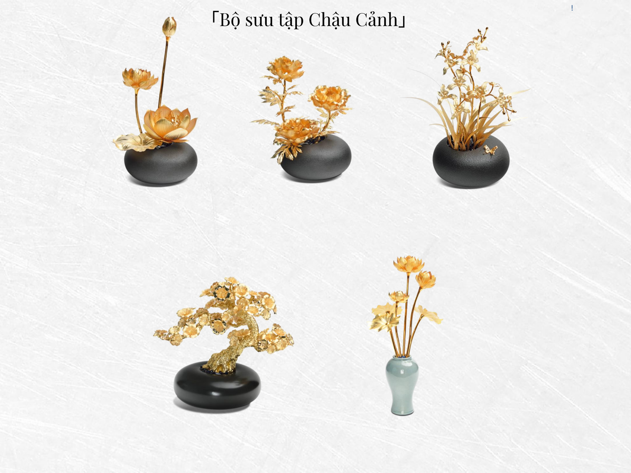BỘ SƯU TẬP CHẬU CẢNH 2