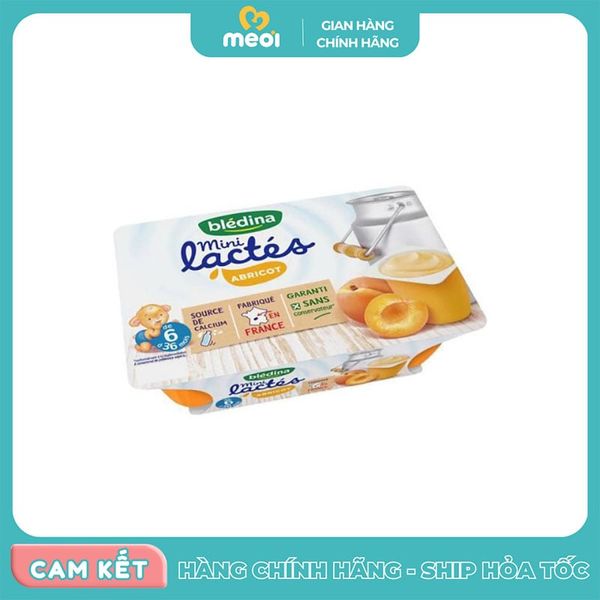 Sữa Chua Bledina Vị Đào Pháp Cho Bé Từ 6 Tháng Tuổi 