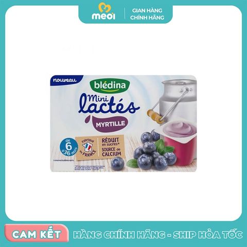  Sữa Chua Bledina Vị Việt Quất Pháp Cho Bé Từ 6 Tháng Tuổi 