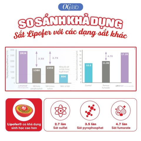  Sắt Vyphyto Fer Liposomé dạng gói (14 gói x 10ml) 