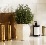  Ceramic Hexa Curve Planter Pot 
