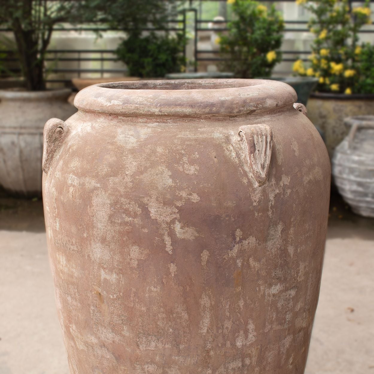  Rustic Ceramic Terracotta Planter with Antique Finish | AUV116 