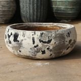  Ceramic Oval Low Bowl Planter with Distressed Monochrome Finish | AUV128 