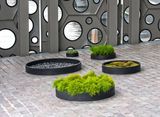  Low Bowl Fiberstone Planter |AUFS175 