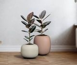  Luna Fiberglass Planter  |AUFS189 