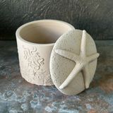  Ocean Life Relief Cement Candle Jar with Starfish Lid | AUC006 