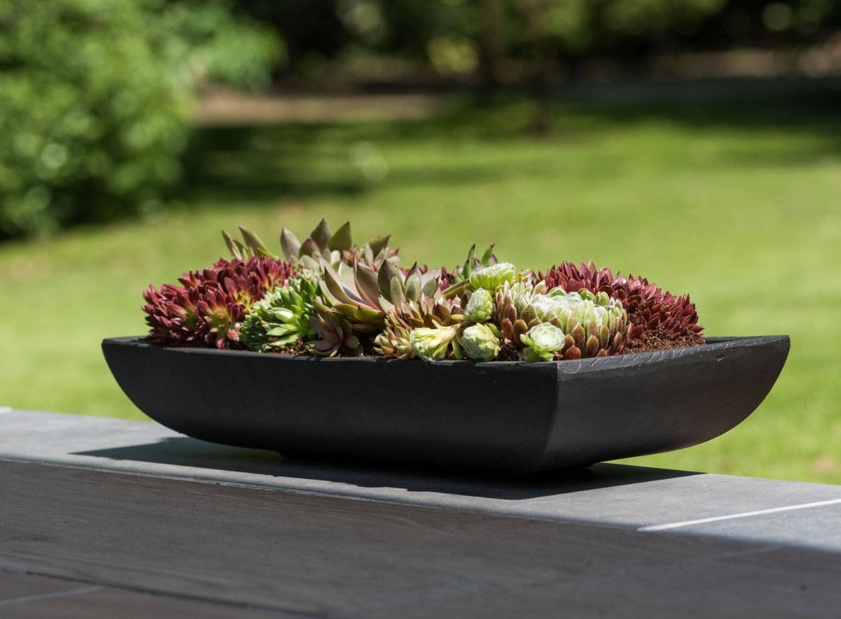  Tray Planter Pot |AUFS172 