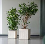  Vertical Line Fiberglass Planter |AUFS190 