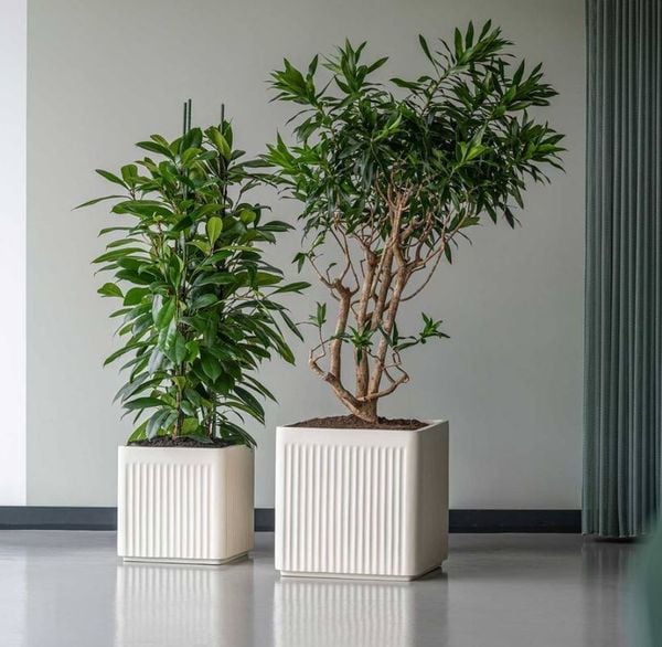 Vertical Line Fiberglass Planter AUFS190