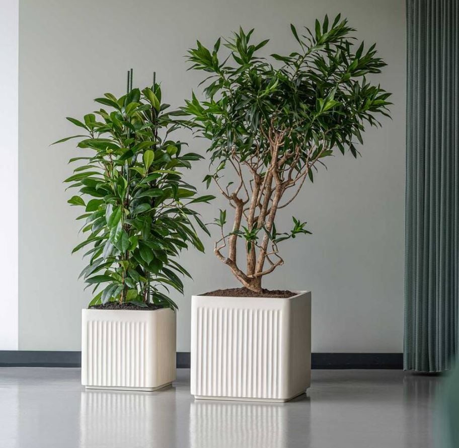  Vertical Line Fiberglass Planter |AUFS190 