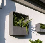  Wally Box Fiberstone Planter |AUFS186 