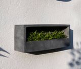  Wally Long Box Planter |AUFS183 