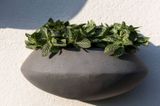  Wally Oval Fiberstone Planter |AUFS177 