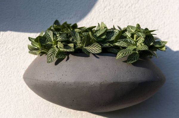 Wally Oval Fiberstone Planter AUFS177