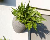  Wally Round Fiberstone Planter |AUFS182 