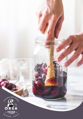 Cách Nuôi Kombucha Tại Nhà - Phương Pháp Sáng Tạo và Lợi Ích Sức Khỏe KO 51