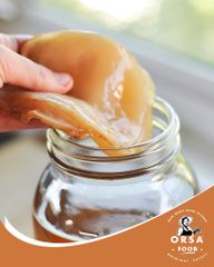 Kombucha Trái Cây – Lời Hứa Về Sức Khỏe Và Sự Phát Triển  KO 44