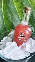 🍊🍉 GIẢI NHIỆT NGÀY HÈ CÙNG KOMBUCHA TƯƠI NGON TỪ ORSAFOOD 🍉🍊 KO 8