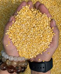🌱 Sữa Đậu Xanh Giúp Thanh Nhiệt, Giải Độc 🌱SH 11