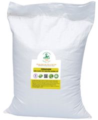 🌱 Sữa Đậu Xanh Giúp Thanh Nhiệt, Giải Độc 🌱SH 11