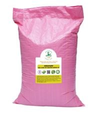 🌱 Sữa Đậu Xanh Giúp Thanh Nhiệt, Giải Độc 🌱SH 11