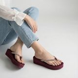  Dép quai kẹp nữ (35-39) 