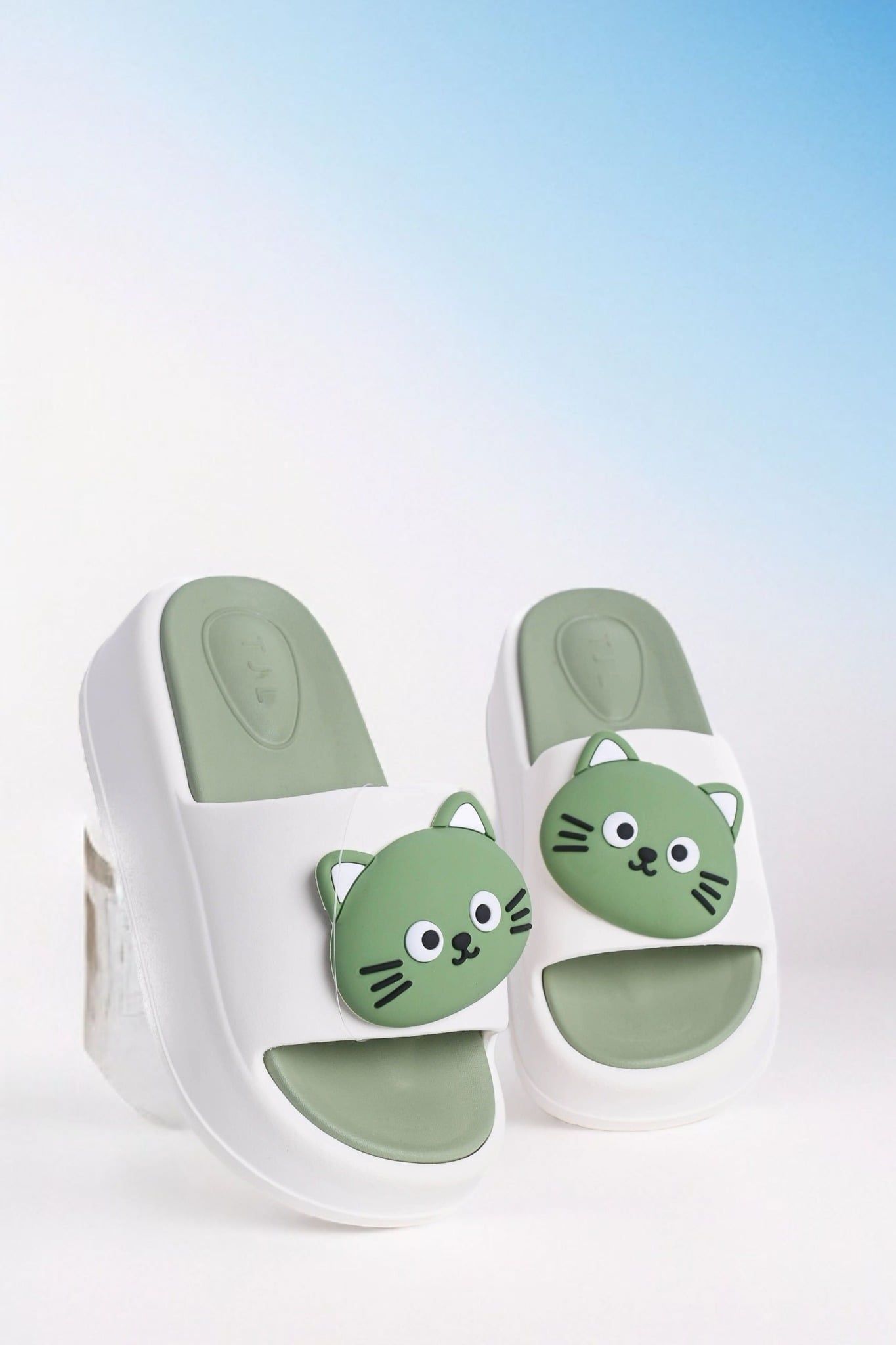  Dép nhựa nữ(35-40) 