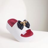  Dép nhựa nữ (35-40) 