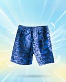  Quần đùi Việt Tiến sale off 190k ( giá tem 250k) 