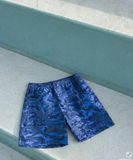  Quần đùi Việt Tiến sale off 190k ( giá tem 250k) 