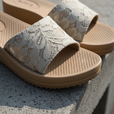  Dép quai ngang nữ (35-40) 