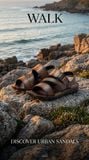  Sandal Biti's nam (39-44) 