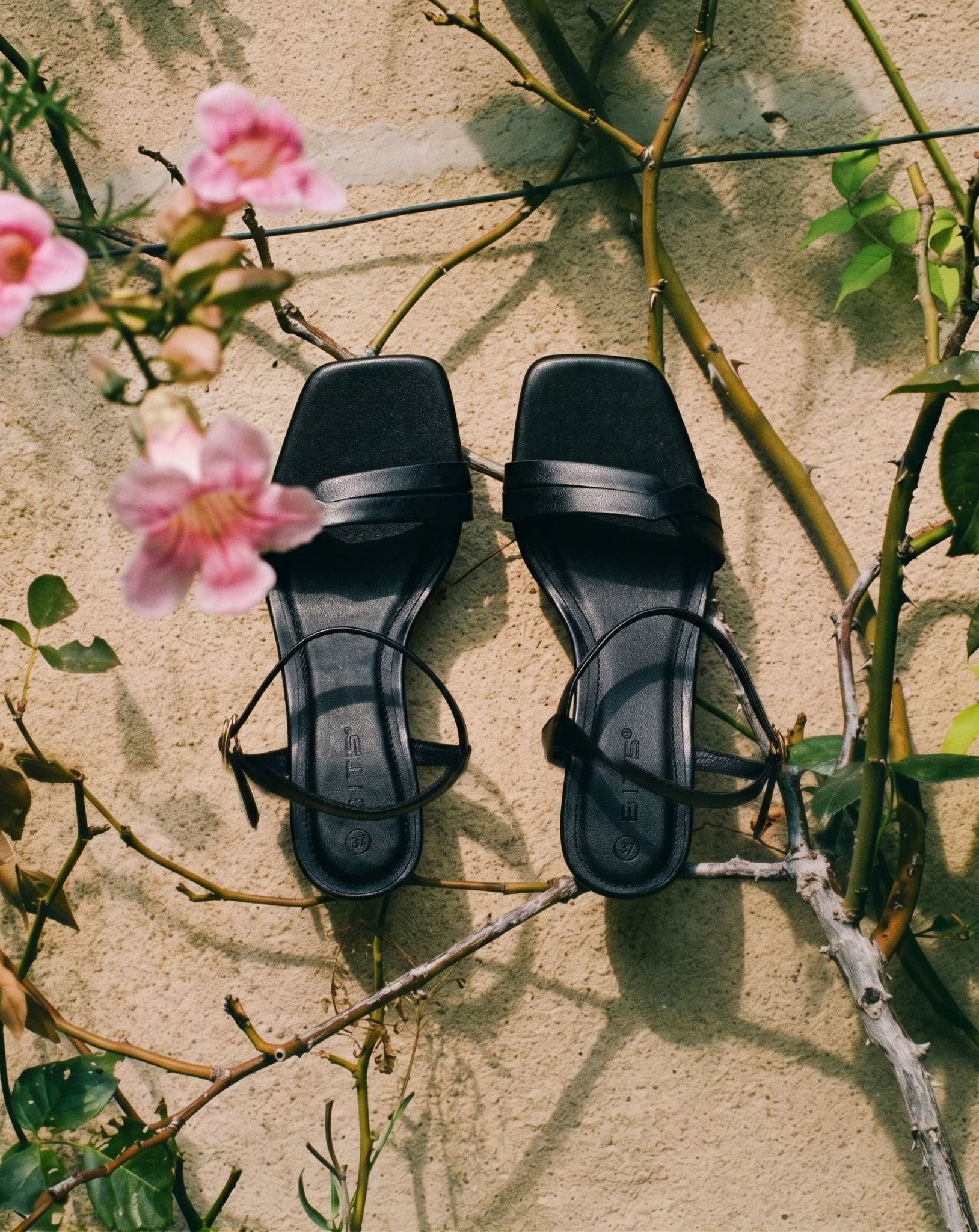  Sandal Biti's nữ ( 35-39) 