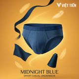  Quần lót Việt Tiến BLUE/M (M-2XL) 