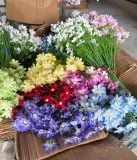 Hoa lụa cúc Cosmos 6b - HOG0055