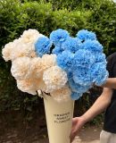 Hoa lụa Phăng xù 3b VN - HOG0060