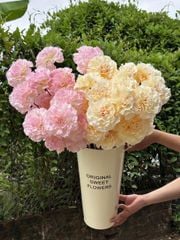 Hoa lụa Phăng xù 3b VN - HOG0060