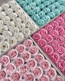 Hoa hồng sáp Sophia - HHS0023