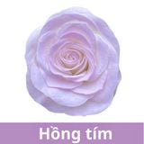 SƠN XỊT MÀU CHO HOA TƯƠI - PKK0045