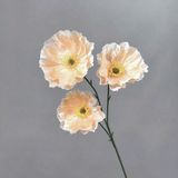 Hoa lụa Poppy 3b to - HOG0045
