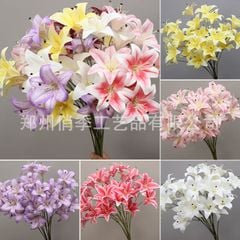 Hoa Ly cao su 3b - HOG0050