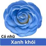SƠN XỊT MÀU CHO HOA TƯƠI - PKK0045