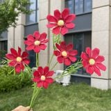 Hoa lụa cúc Cosmos 6b - HOG0055